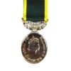 Territorial Efficiency Medal (ERII) Miniature Medal