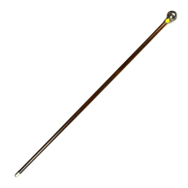 Worcestershire and Sherwood Foresters Regiment Swagger Stick