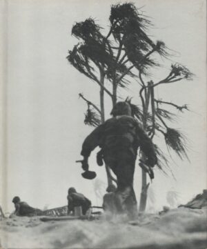 Island Fighting