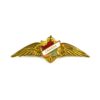 Royal Canadian Air Force Winged Lapel Badge