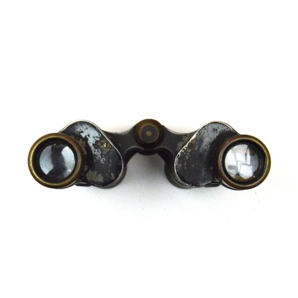 Carl Zeiss Jena Telexem 6x24 Binoculars in British No. 3 Case dated 1918 - Image 2