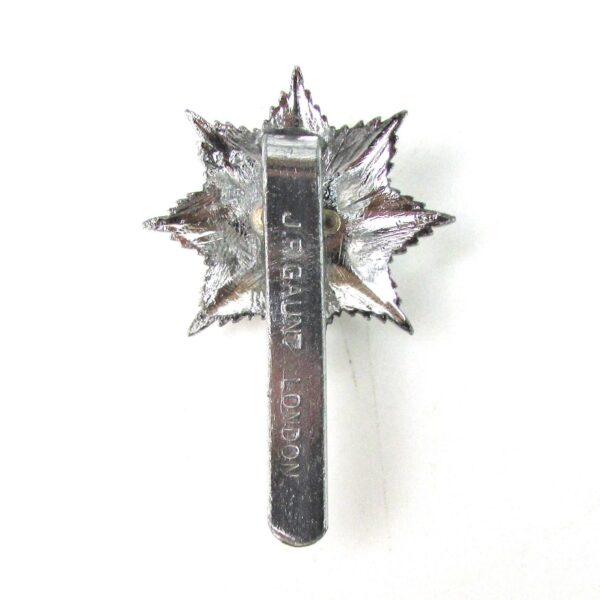 Royal Anglian Regiment Anodised Cap Badge - Image 2