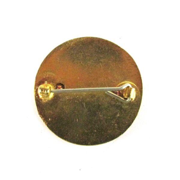 Royal Air Force Nurse Training School Badge - Image 2