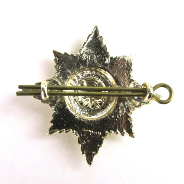 Irish Guards Anodised Cap Badge - Image 2
