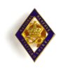 National Reserve Staffordshire Gilt Lapel Badge