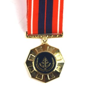 South African Pro Patria (2nd Pattern) Medal, 332967