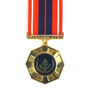 South African Pro Patria (2nd Pattern) Medal, 358946