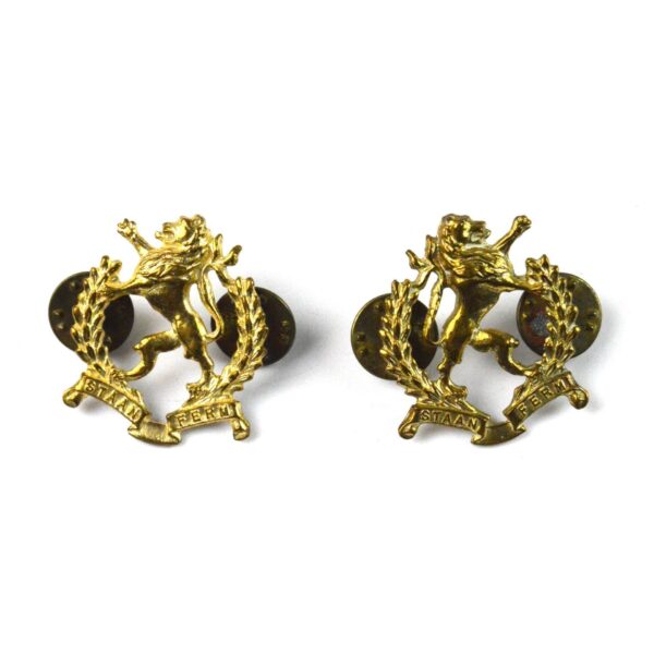 Regiment Hoeveld (Highveld Regiment) Collar Badge, Pair (Post 1965 Pattern)