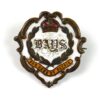 2nd Dragoons Guards (Queen's Bays) WWI Era Lapel Badge