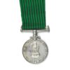 Indian 9 Year Long Service Medal, Sepoy P. Singh, Dogra Regiment