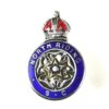 North Riding of Yorkshire Special Constable Constabulary Lapel Badge, King's Crown
