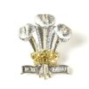 Royal Regiment of Wales (1969–2006 Pattern) Anodised Cap Badge