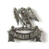 Swansea Borough Police White Metal Collar Badge