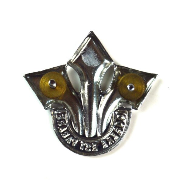 South African Corps of Professional Officers (Post 1975) Chrome Cap Badge - Image 2