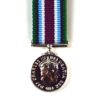 Wider Service Medal, Miniature