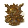 South African Regiment Suid-Westelike Distrikte (South Western District) (1935-64 Pattern) Cap Badge