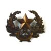 Cameronians (Scottish Rifles) Bronze Cap Badge, Original
