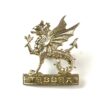 Wessex Brigade (1958-68 Pattern) Officer's Silver Plate Cap Badge