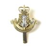Leicestershire & Derbyshire Yeomanry Anodised Cap Badge