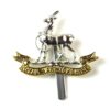 Royal Warwickshire Regiment Anodised Cap Badge