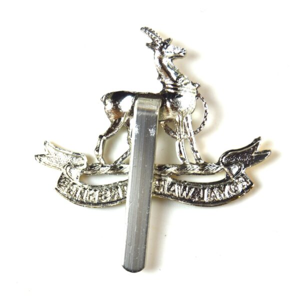 Royal Warwickshire Regiment Anodised Cap Badge - Image 2