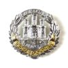 Northamptonshire Regiment Anodised Cap Badge
