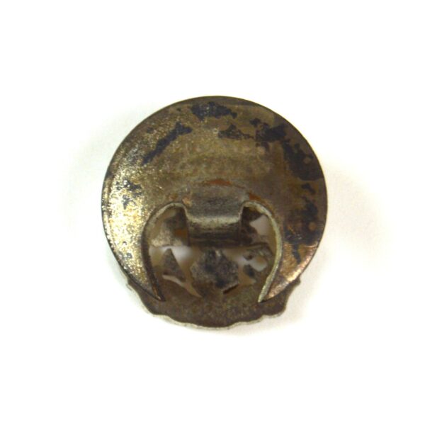 Hampshire Regiment (Pre-1946 Pattern) Comrades Association Lapel Badge - Image 2
