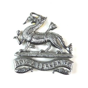 Berkshire Regiment Broached Cap Badge