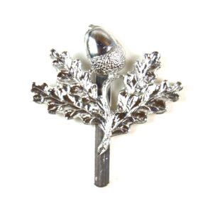 South Nottinghamshire Hussars Yeomanry Anodised Cap Badge
