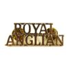 Royal Anglian Regiment (ROYAL/ANGLIAN) (Post-1964 Pattern) Anodised Shoulder Title