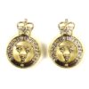 Shropshire Yeomanry Anodised Collar Badges, Queen's Crown, Pair