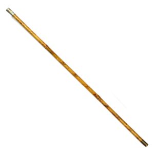 Blues and Royals Officer’s Swagger Stick