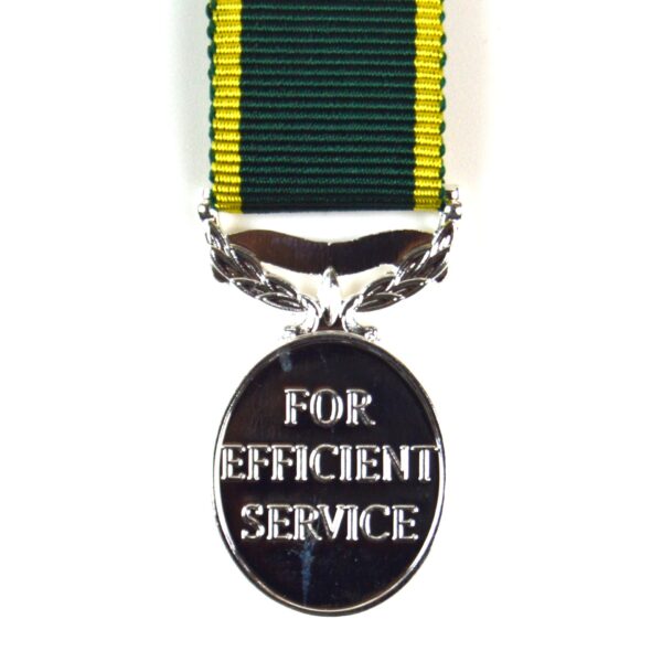 Territorial Efficiency Medal (GRVI) Miniature Medal - Image 2
