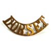 Dorsetshire Regiment (DORSET) Brass Shoulder Title