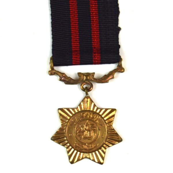 Pakistani Sitara-e-Harb 1391 (War Star 1971)