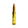 Inert .308 Winchester Round