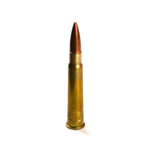 Inert British .303 Round