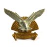 Durban Regiment (1961-c. 2022 Pattern) Cap Badge