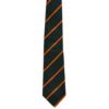 Devonshire and Dorset Regiment Polyester Tie