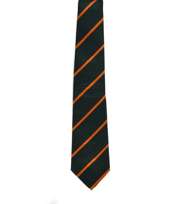 Devonshire and Dorset Regiment Polyester Tie