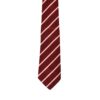 Duke of Wellington's Regiment (West Riding) Polyester Tie