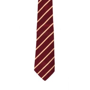 Duke of Wellington's Regiment (West Riding) Polyester Tie