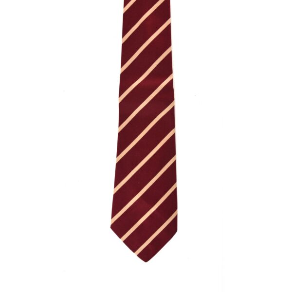 Duke of Wellington's Regiment (West Riding) Polyester Tie