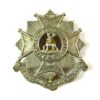 Bedfordshire and Hertfordshire Regiment (1919-1958 Pattern) Cap Badge, Original