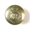 British Hong Kong Volunteer Corps (1901-1910 Pattern) Button (24mm), ERVII