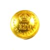 British India 120th Rajputana Infantry (1901-1922 Pattern) Gilt Officer's Button, King's Crown (19mm)