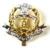 Middlesex Regiment (Duke Of Cambridge's Own) Anodised Cap Badge, Original