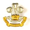 South Lancashire Regiment (Prince of Wales's Volunteers) (1951-1958 Pattern) Officer's Collar Badge