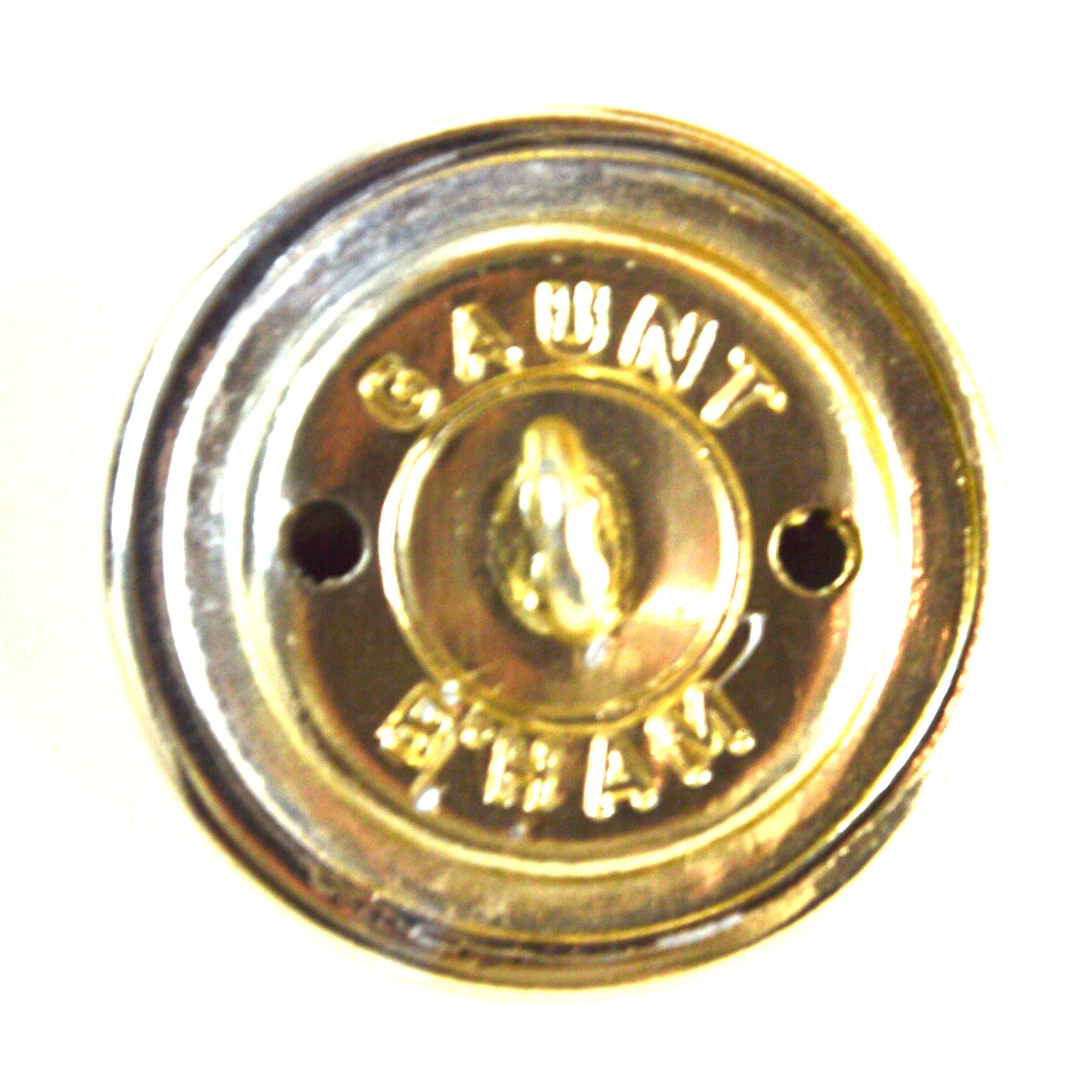 Royal Scots (The Royal Regiment) Anodised Button (27mm) - Image 2