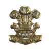 1st (Pembrokeshire) Volunteer Battalion, Welsh Regiment (c. 1881-1908 Pattern) Cap Badge, Original